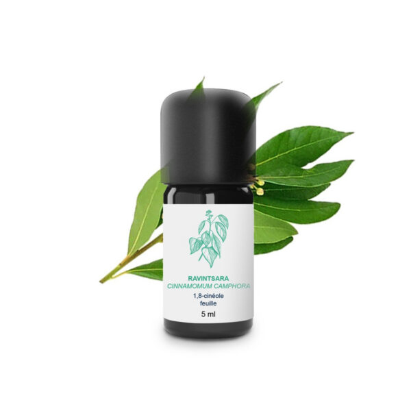 Ravintsara eeterlik õli 5 ml