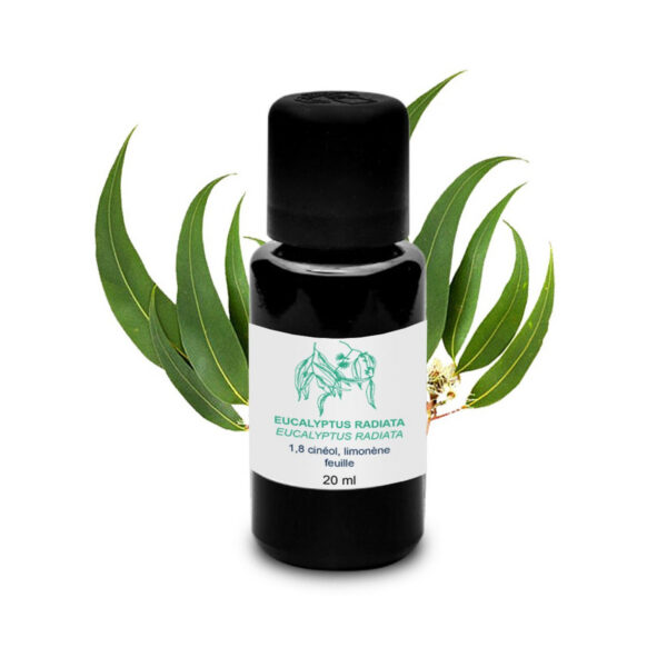 Eukalüpti eeterlik õli 5 ml
